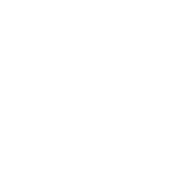 EXTRAVAGANZ'ART